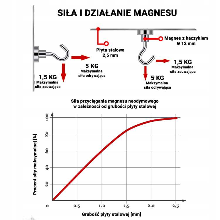 Uchwyt magnetyczny z haczykiem 12×5 mm – siła trzymania i udźwig 5 kg, Magnesy Hunter